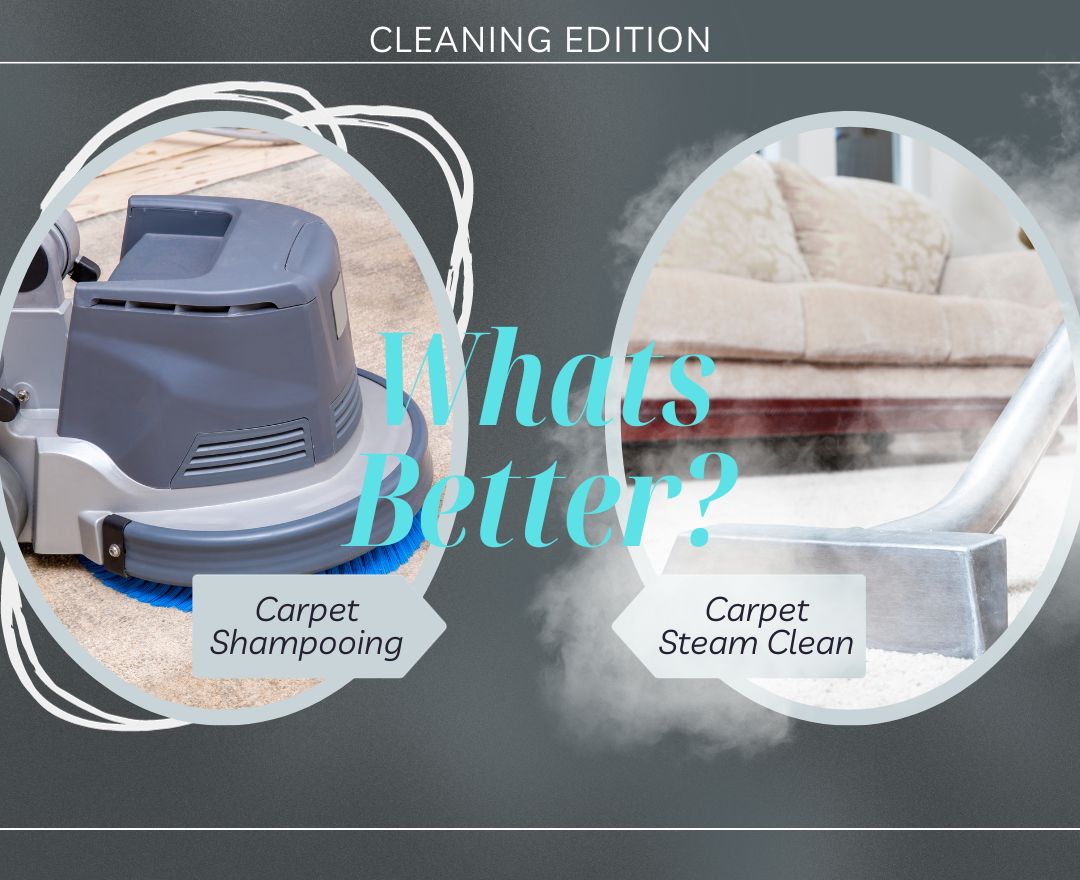 Is it Better to Shampoo or Steam Clean Carpets?